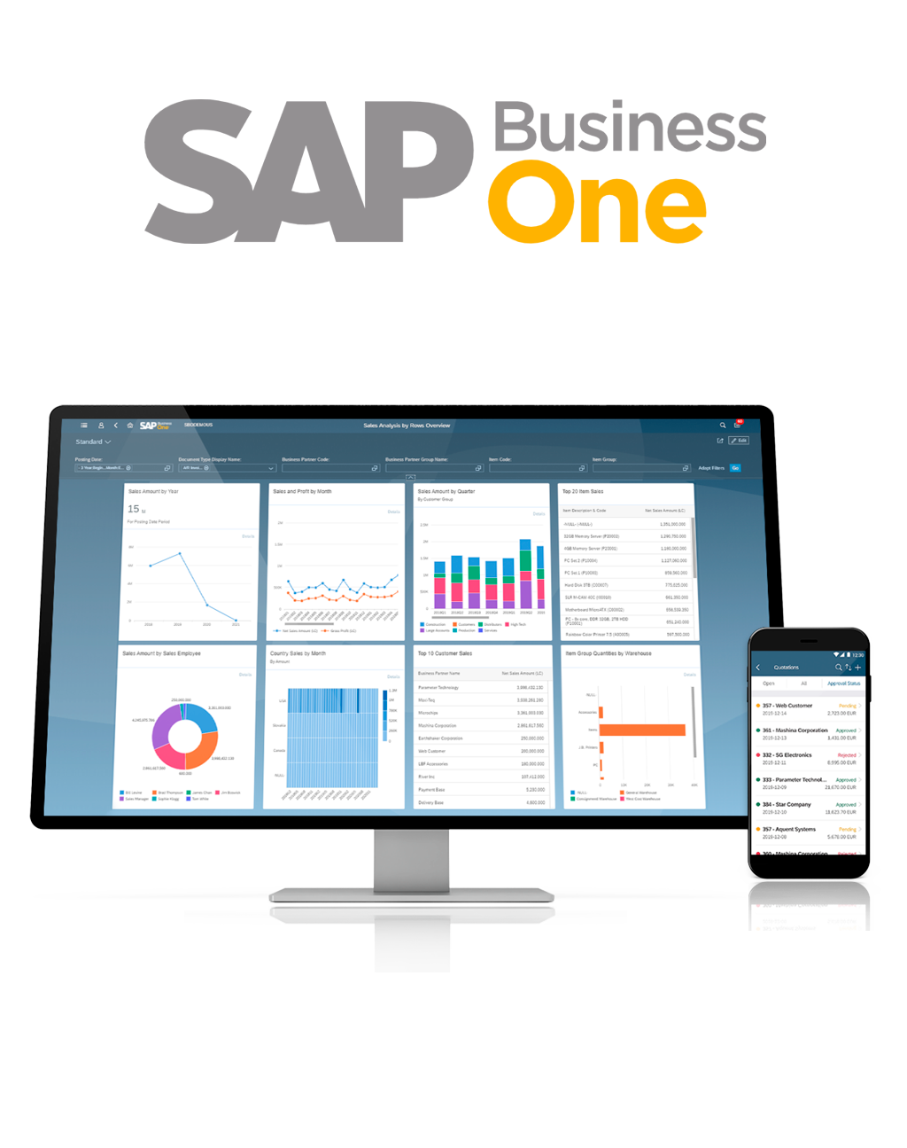 Panyallas SAP Business One en México