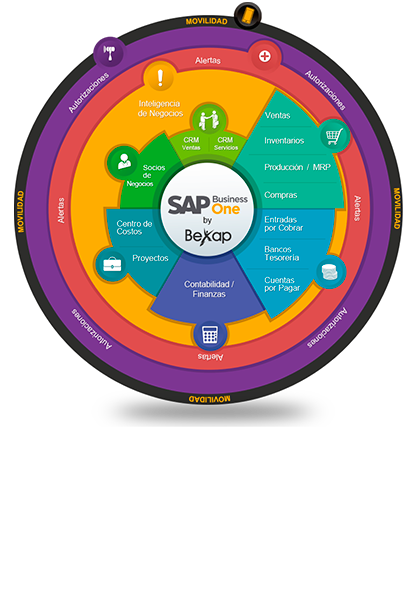 SAP Business One Funciones